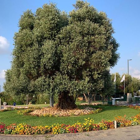 Mina'S Suites - קיסריה Экстерьер фото